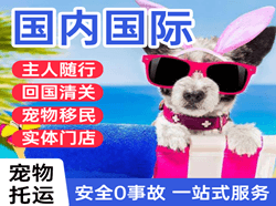 尧都空运国际宠物托运 【国
